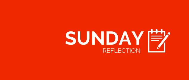 Sunday Reflection